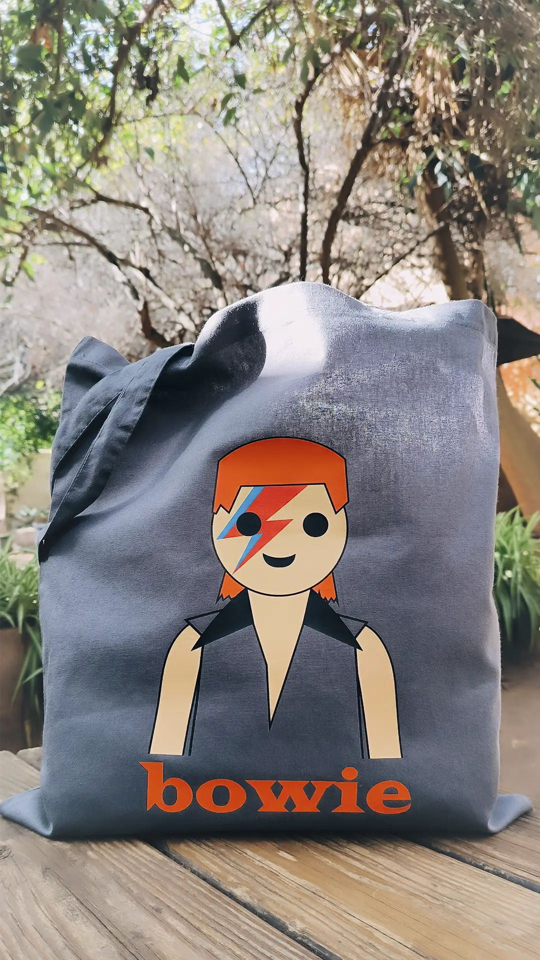 David Bowie bolso de tela
